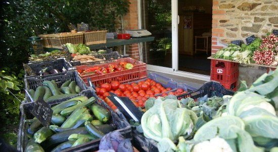 Les légumes bio vendus à la ferme Ifer
